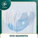 FRALDA LIFREE CALCA SUPER CONFORTO 16UN P/M